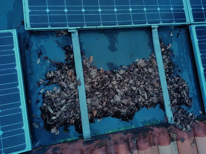 Photovoltaïque et vous propose l'entretient de panneaux photovoltaïque encrassés avec des dépôts de feuilles.